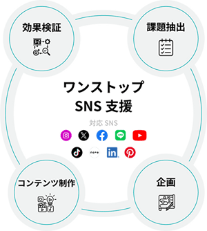 cms_mv