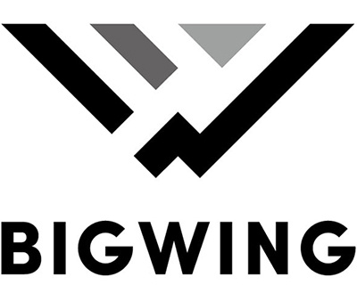24_bigwing_logo