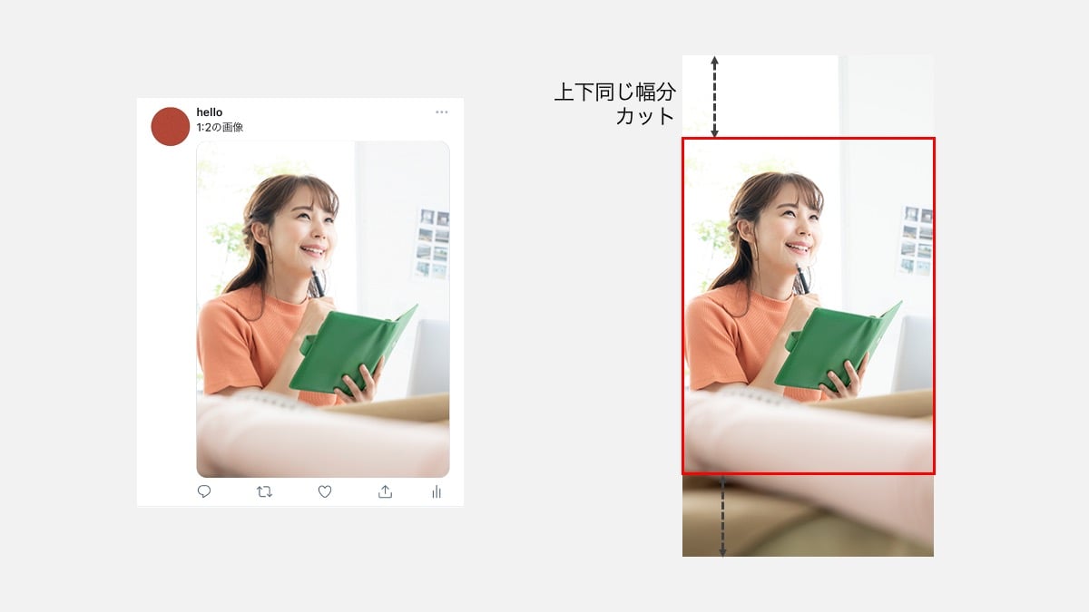 1:2の女性の画像