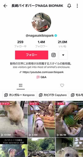 バイオパークTikTok