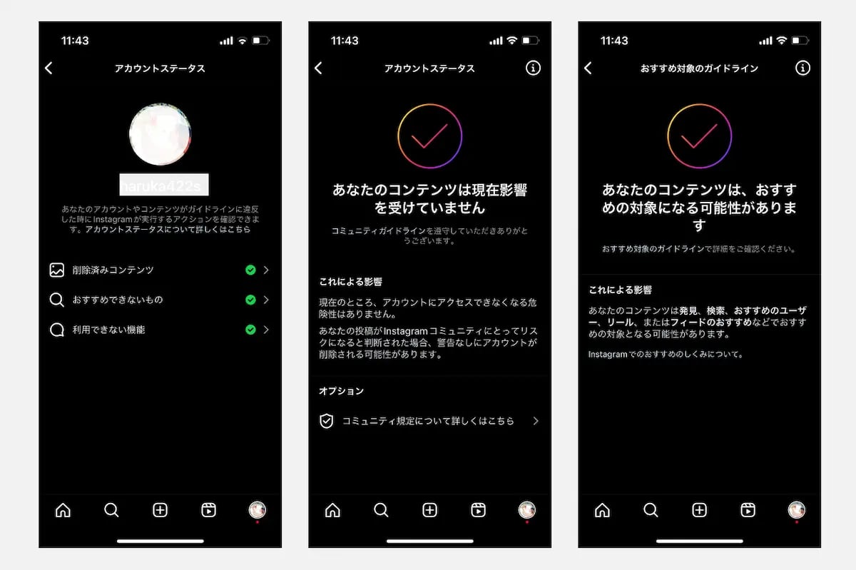 ig-account-status