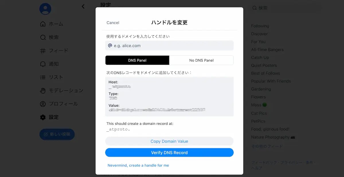 bluesky-own-domain2