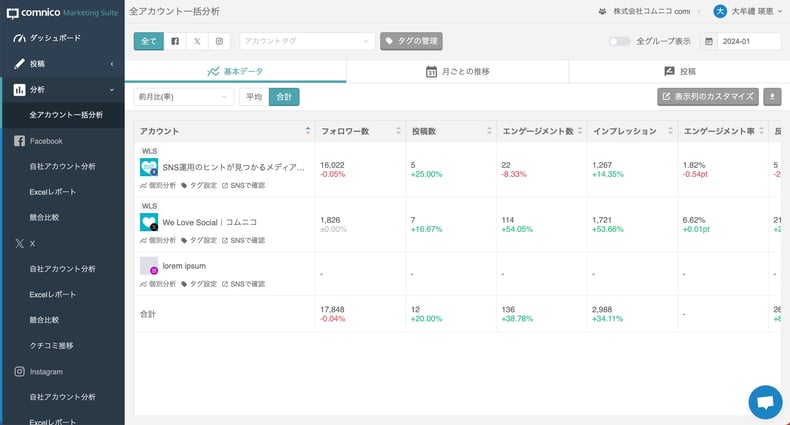 一括分析
