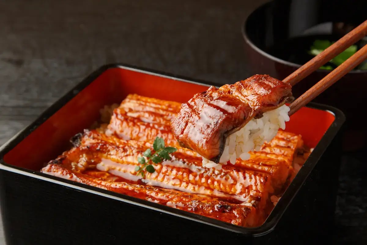wls_unagi