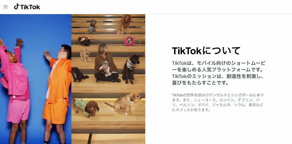 TikTokとは？：モバイル向けショートムービーを楽しめるプラットフォーム