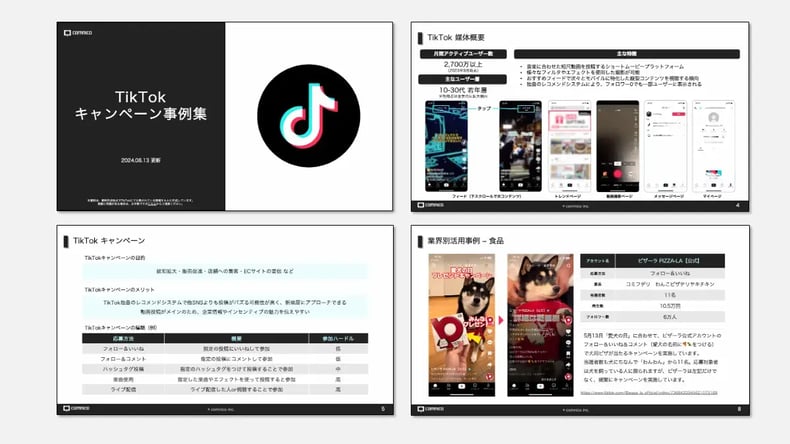 wls_tiktok-cp-ebook