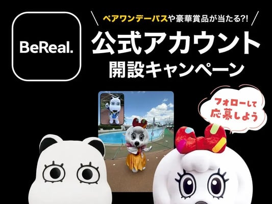 yomiuriland-bereal