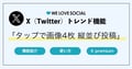 【X(Twitter)トレンド】「タップで画像4枚縦並び」投稿とは?作り方や企業活用事例