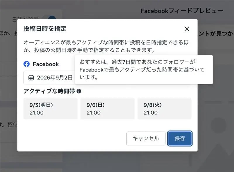 fb-insight