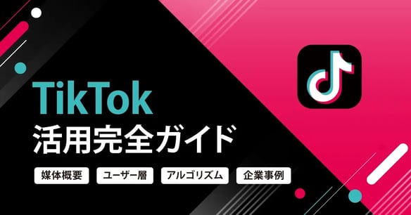 ebook_tiktok2