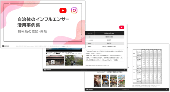 local-goverment-influencer-case2