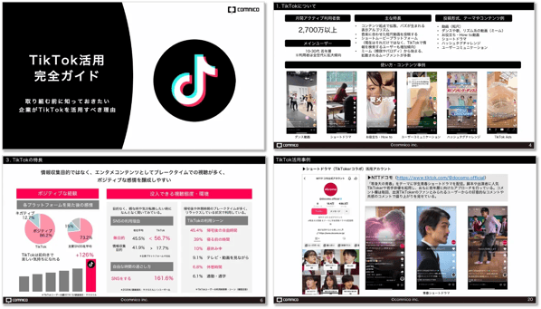 tiktok_guide_sample