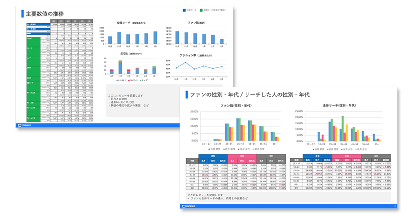 facebookreport_lpsample