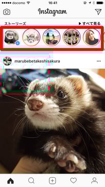Instagramストーリーの表示場所