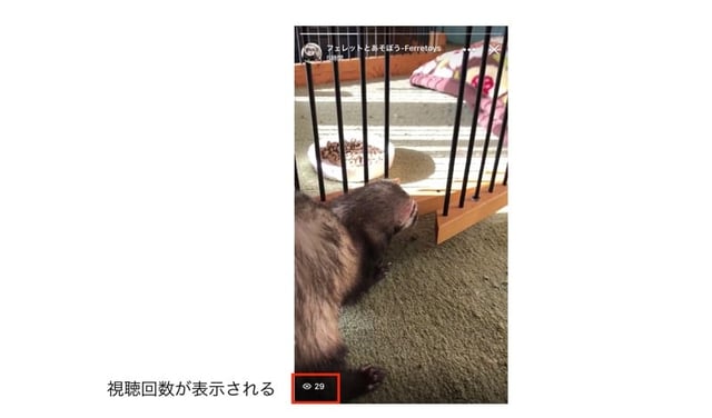 Facebookページのストーリーとは ストーリーで投稿してみよう Sns運用のヒントが見つかるメディア We Love Social Facebookページのストーリーとは ストーリーで投稿してみよう Sns運用のヒントが見つかるメディア We Love Social